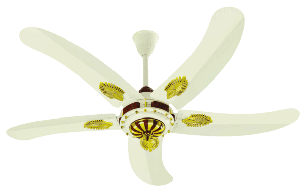 Five blade fan with unique design and also AC/DC